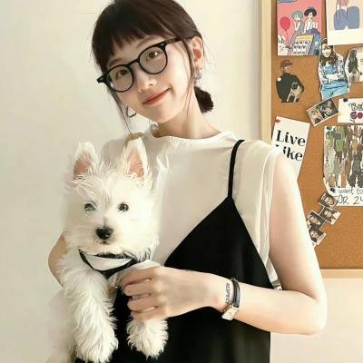 好莱坞以北